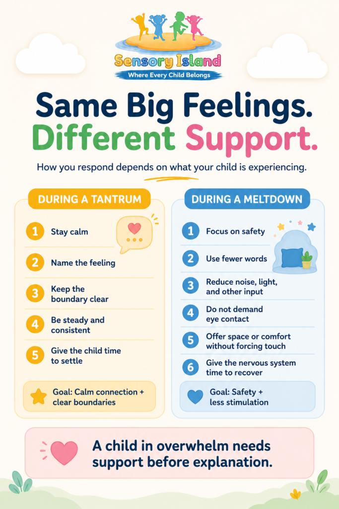 Side-by-side guide showing how parents can respond differently to a tantrum and a meltdown.