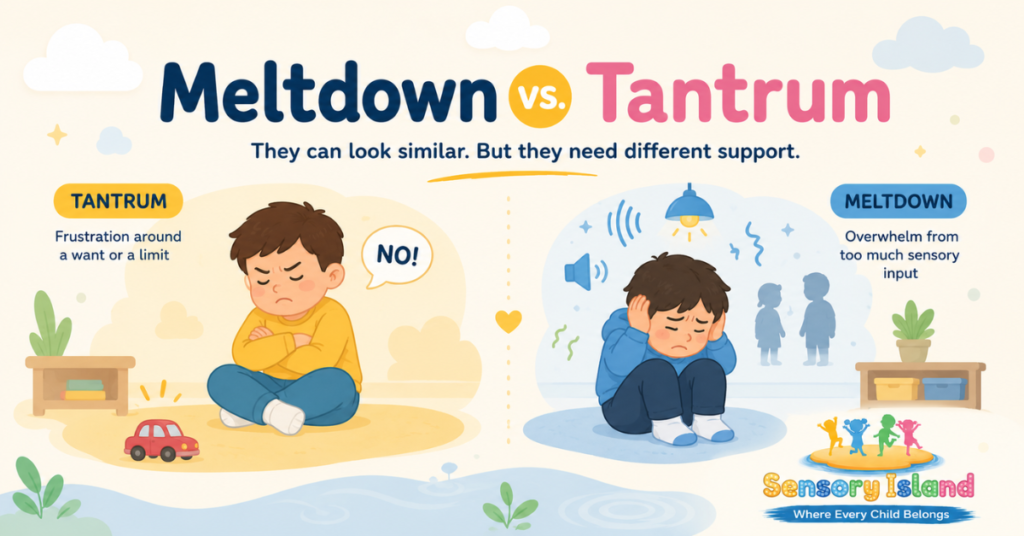 Meltdown vs. tantrum in children, showing the difference between frustration and sensory overwhelm.